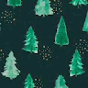 Meet your Posher, Aaliyah